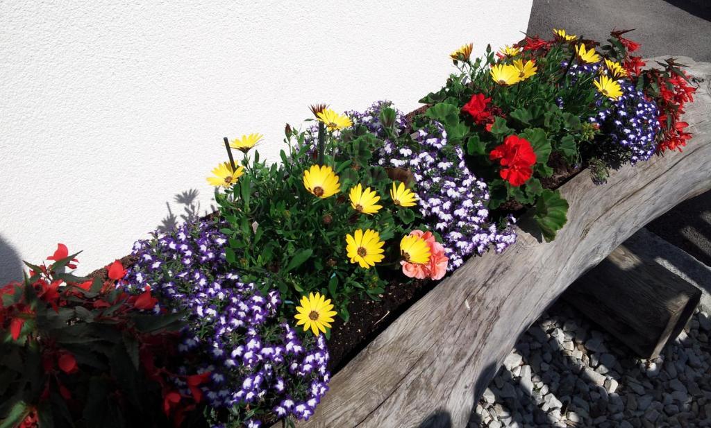 Apartment Haus Rosmarie Neustift im Stubaital